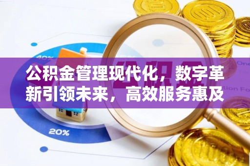 泸西公积金管理现代化，数字革新引领未来，高效服务惠及民生