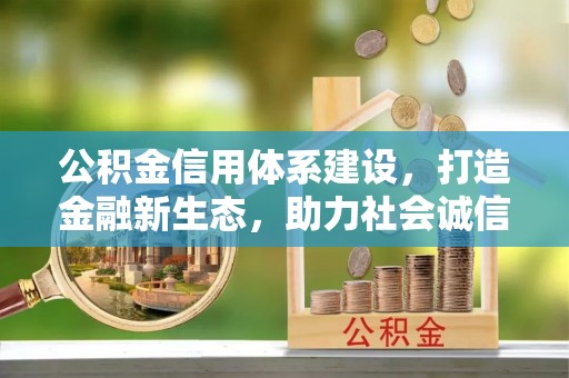 泸西公积金信用体系建设，打造金融新生态，助力社会诚信发展