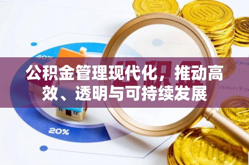 泸西公积金管理现代化，推动高效、透明与可持续发展