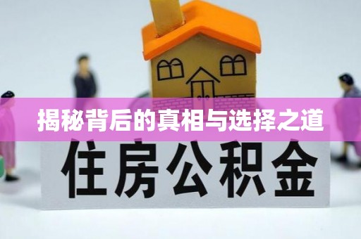 泸西揭秘背后的真相与选择之道