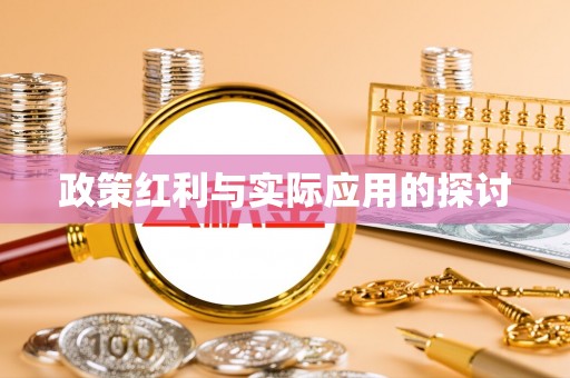 泸西政策红利与实际应用的探讨
