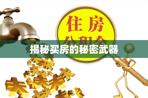 泸西揭秘买房的秘密武器
