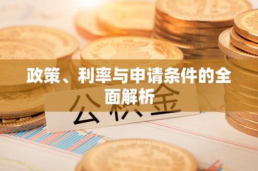 泸西政策、利率与申请条件的全面解析
