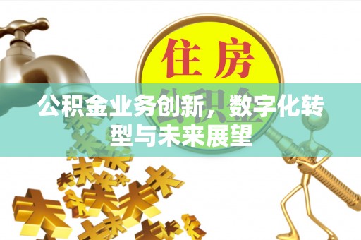 泸西公积金业务创新，数字化转型与未来展望