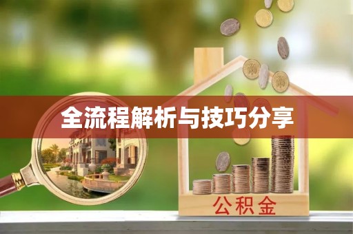 泸西全流程解析与技巧分享